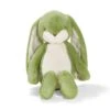 Sweet 16" Floppy Nibble Bunny – Pistachio
