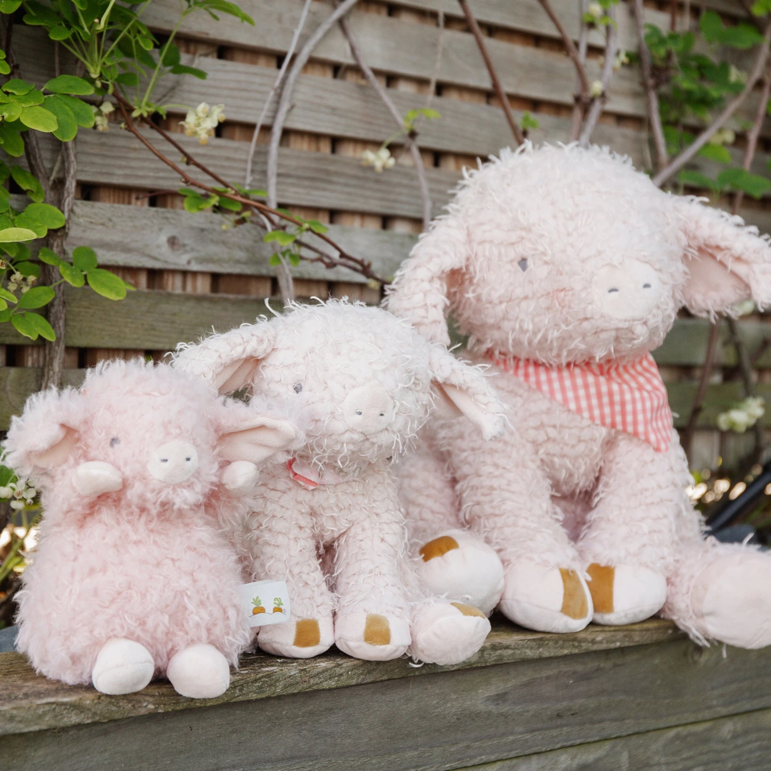 Big Hammie The Pig - Image 6