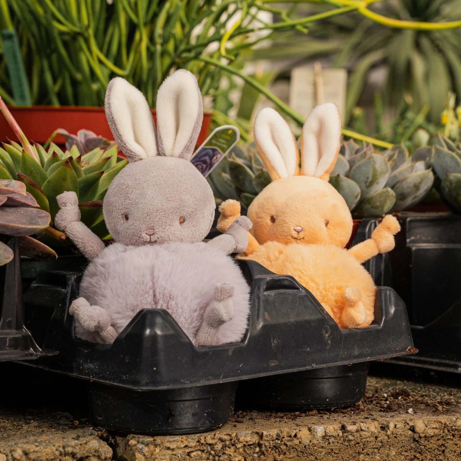 Roly Poly - Lilac Marble Bunny - Image 2