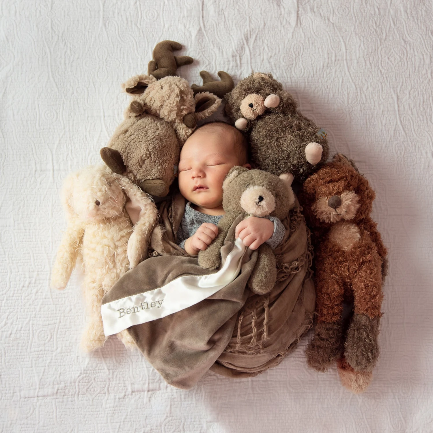 Foxy The Fox - Image 4