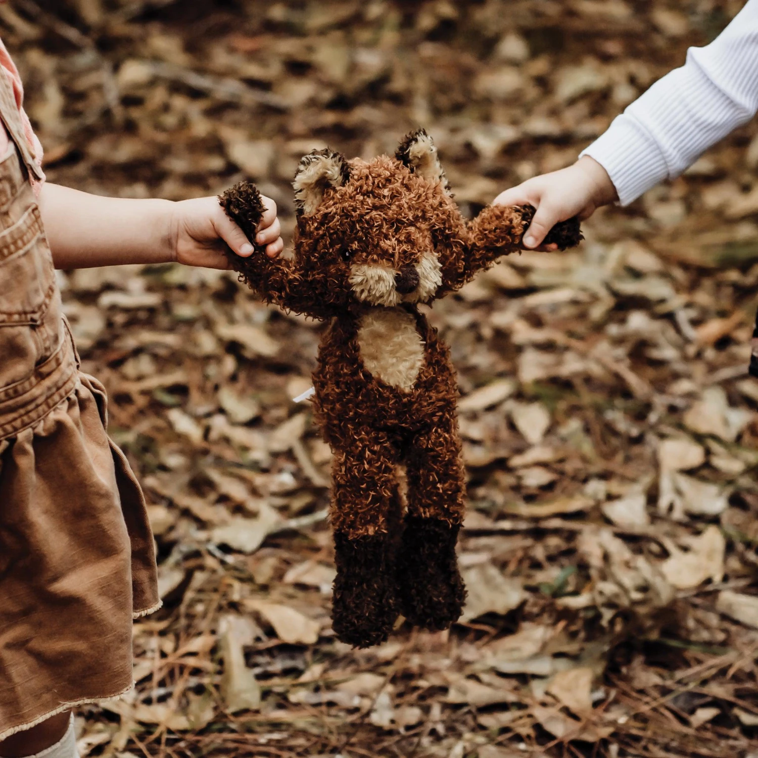 Foxy The Fox - Image 3