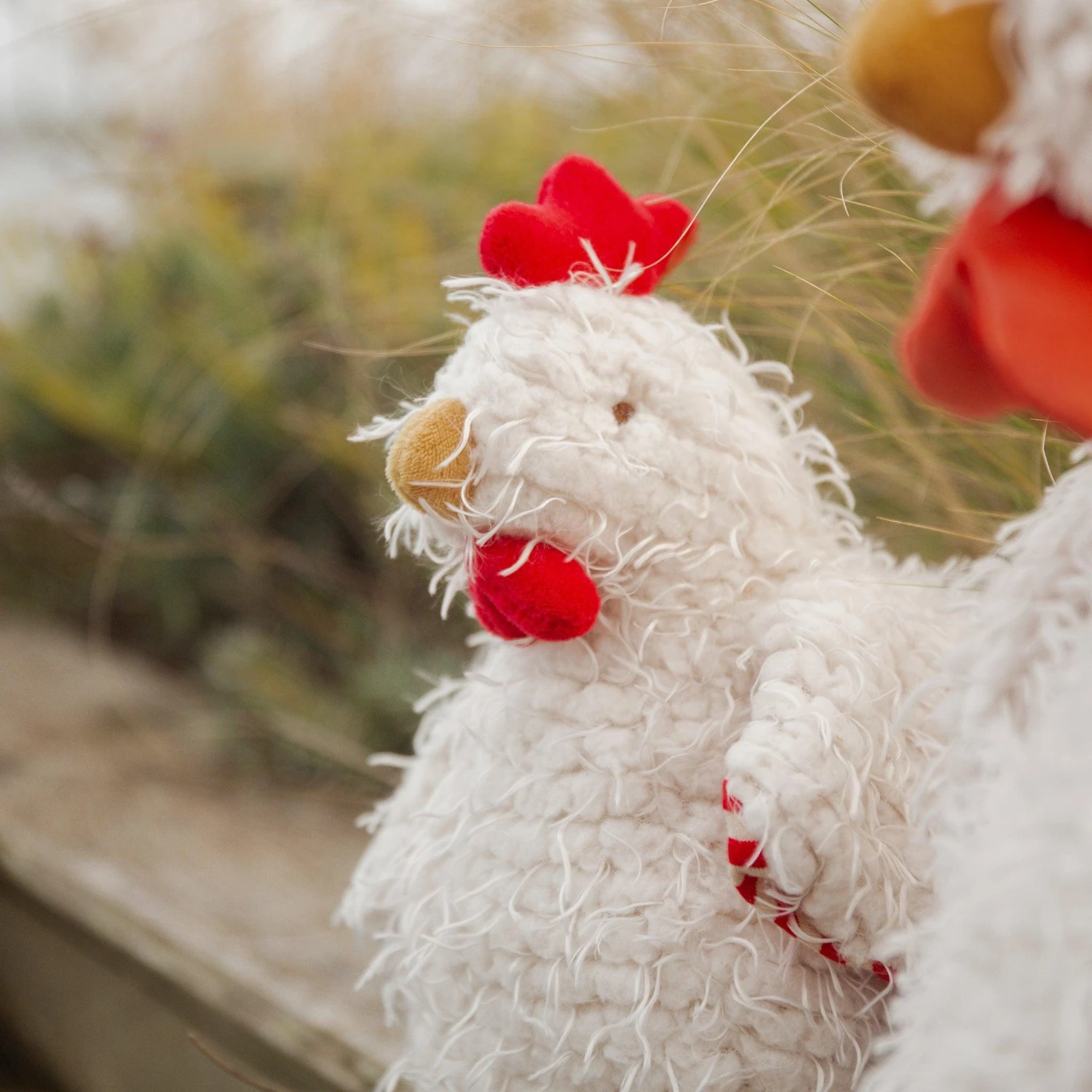 Clucky The Chicken - Image 3