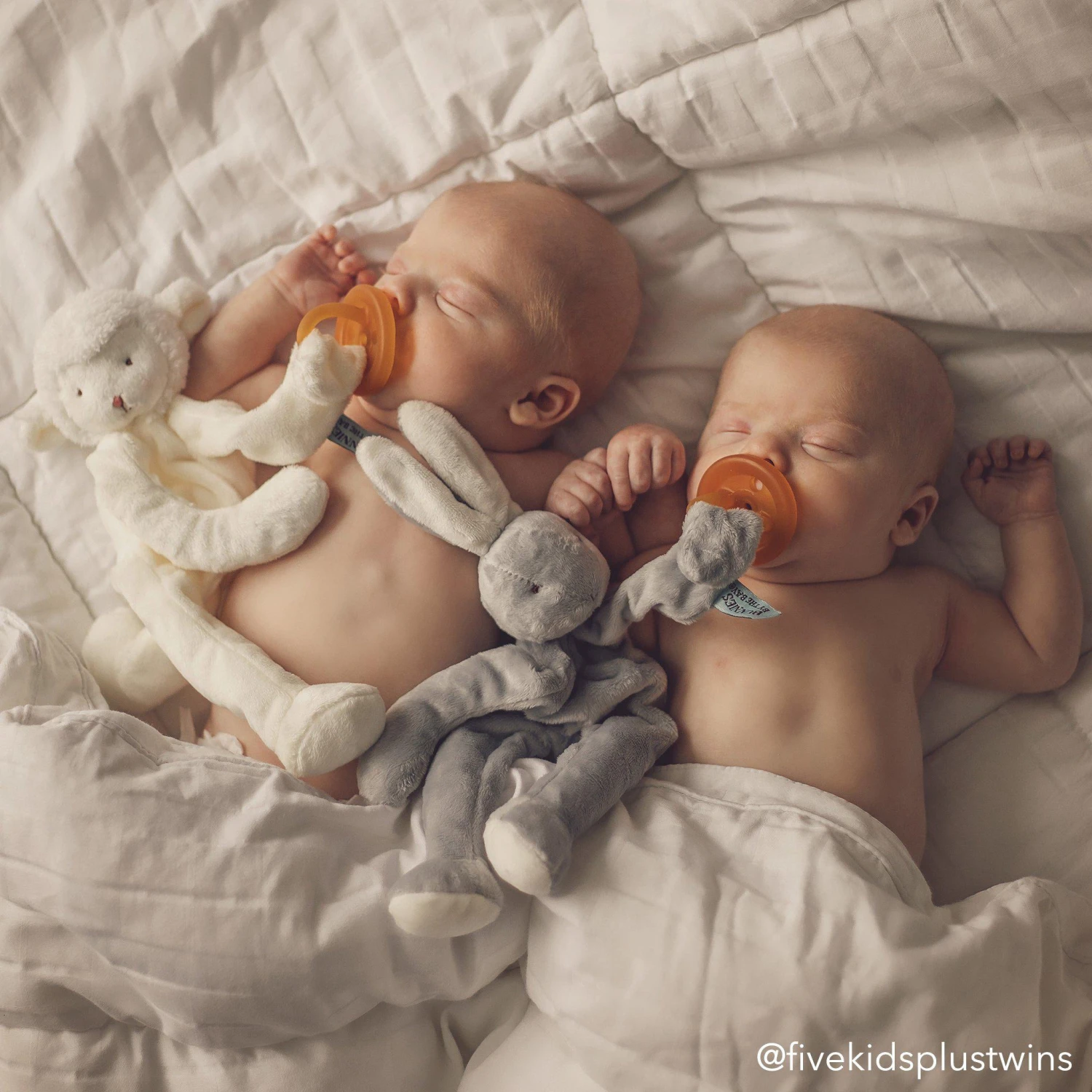 Bloom Bunny Silly Buddy - Image 5